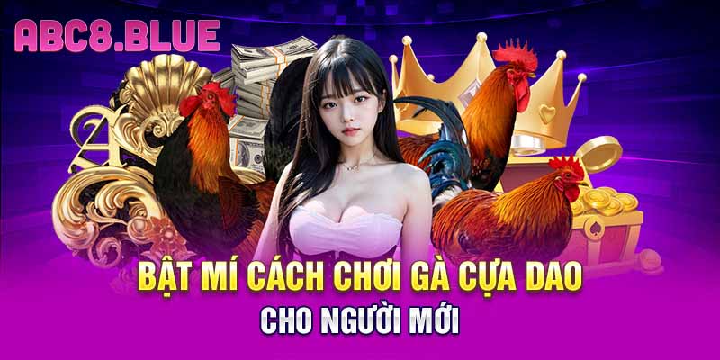 Bật mí cách chơi gà cựa dao cho người mới