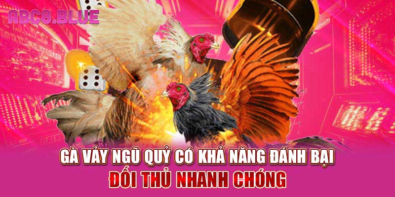 Gà vảy ngũ quỷ có khả năng đánh bại đối thủ nhanh chóng