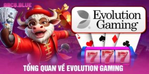 Tổng quan về Evolution Gaming